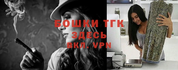 дживик Гусиноозёрск