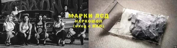 таблы Гусев