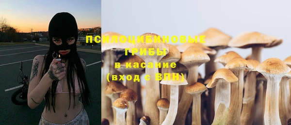 дживик Гусиноозёрск
