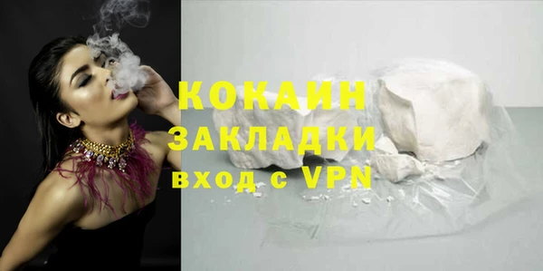 дмт Елизово