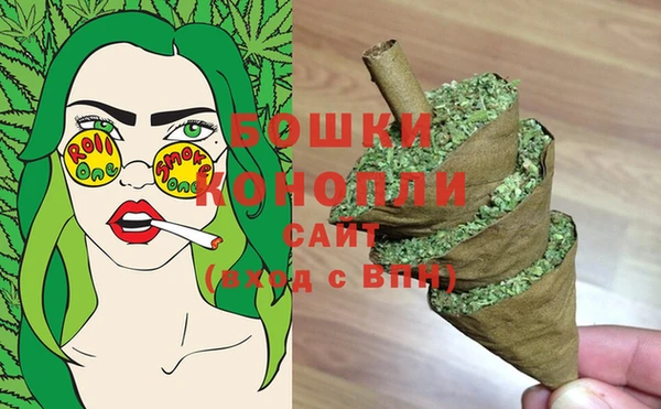 таблы Гусев