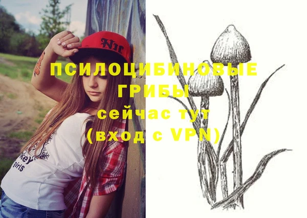 таблы Гусев