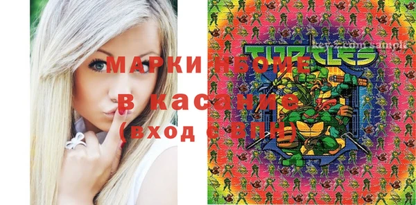 таблы Гусев