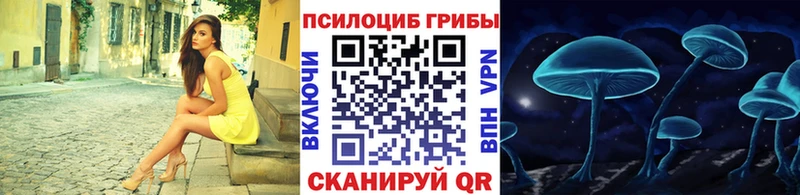 Купить где  Белая Калитва  Галлюциногенные грибы Psilocybine cubensis 